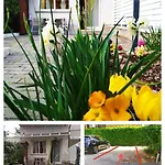 Bhh Private Garden Reserved Parking -wwwbolognaholidayhomecom- House Garden Parking *
