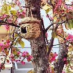 Bhh Private Garden Reserved Parking -wwwbolognaholidayhomecom- House Garden Parking Μπολόνια