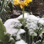 Bhh Private Garden Reserved Parking -wwwbolognaholidayhomecom- House Garden Parking Μπολόνια
