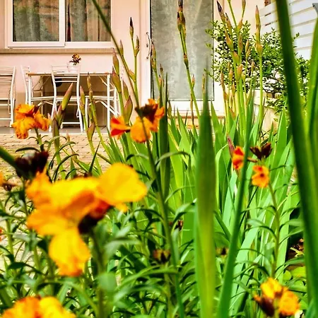 Daire Bhh Private Garden Reserved Parking -wwwbolognaholidayhomecom- House Garden Parking *