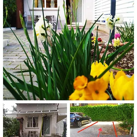 Bhh Private Garden Reserved Parking -wwwbolognaholidayhomecom- House Garden Parking *