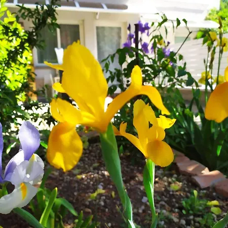 Bhh Appartamento Signorini Bologna -Wwwbolognaholidayhomecom- Parcheggio Riservato E Giardino - Holiday House Bologna Garden Parking