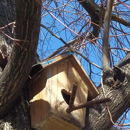 Bhh Appartamento Signorini Bologna -Wwwbolognaholidayhomecom- Parcheggio Riservato E Giardino - Holiday House Bologna Garden Parking Lägenhet *