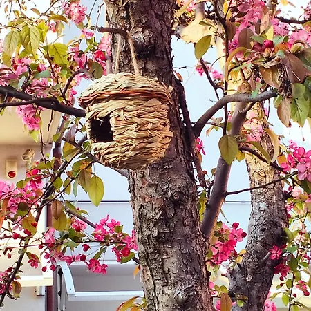 Bhh Private Garden Reserved Parking -wwwbolognaholidayhomecom- House Garden Parking Bologna