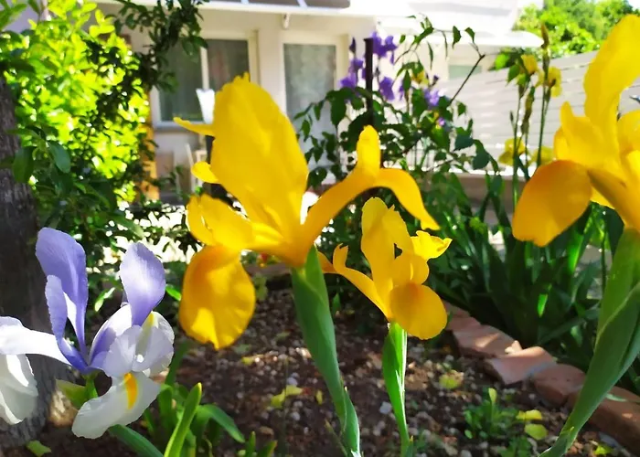 APPARTAMENTO SIGNORINI - bologna holiday home - PARCHEGGIO E GIARDINO PRIVATO -Holiday House Bologna Garden Parking