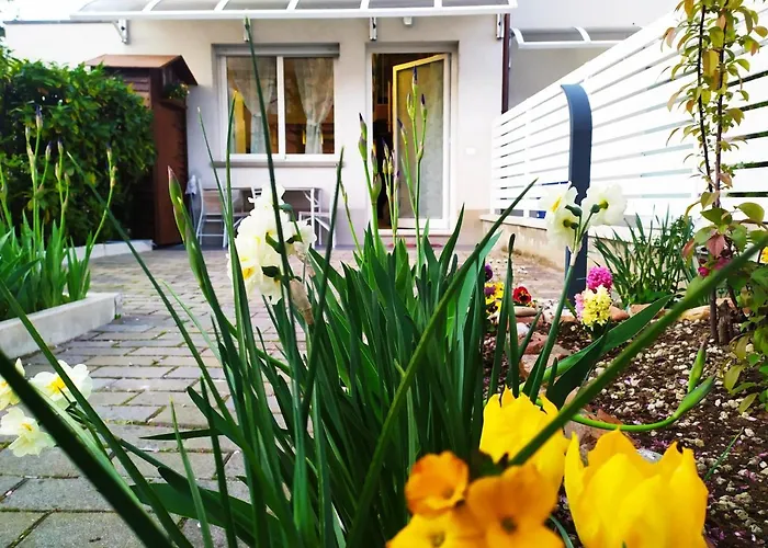 Bhh Signorini -wwwbolognaholidayhomecom- Parcheggio Riservato E Giardino - House Garden Parking Daire *