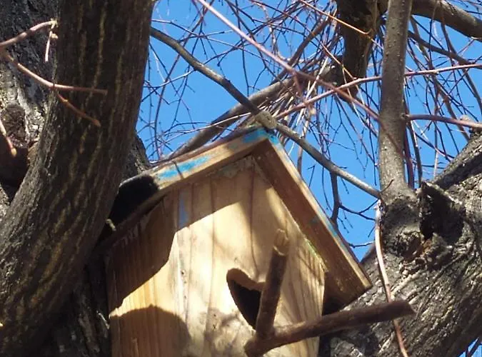 Bhh Signorini -wwwbolognaholidayhomecom- Parcheggio Riservato E Giardino - House Garden Parking Daire *