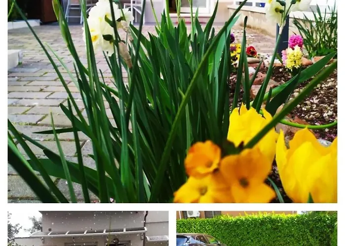 Bhh Appartamento Signorini Bologna -Wwwbolognaholidayhomecom- Holiday House Signorini Bologna Garden Parking - Parcheggio Riservato E Giardino Privato - *