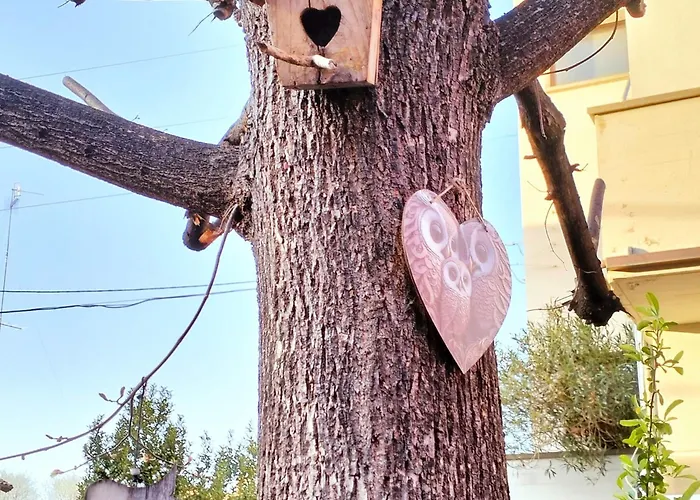 Bhh Signorini -wwwbolognaholidayhomecom- Parcheggio Riservato E Giardino - House Garden Parking * Bolonya