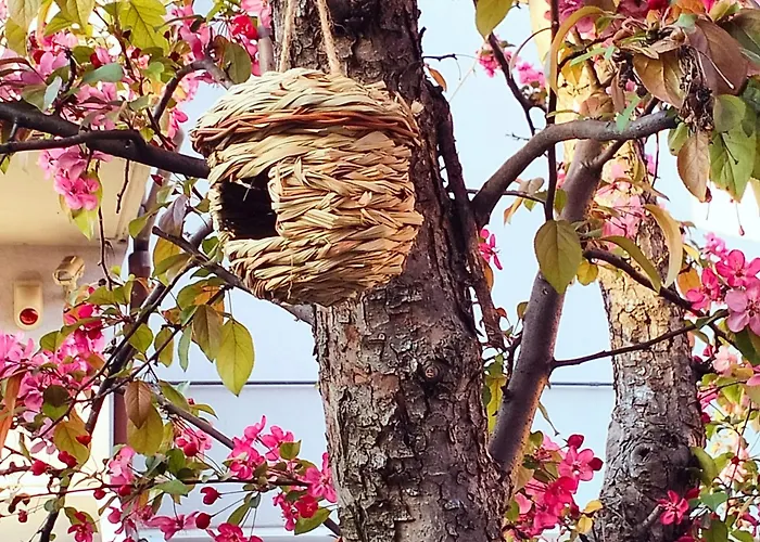 Bhh Signorini -wwwbolognaholidayhomecom- Parcheggio Riservato E Giardino - House Garden Parking بولونيا