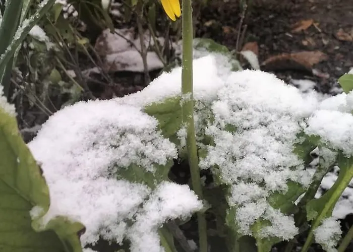 Bhh Signorini -wwwbolognaholidayhomecom- Parcheggio Riservato E Giardino - House Garden Parking بولونيا