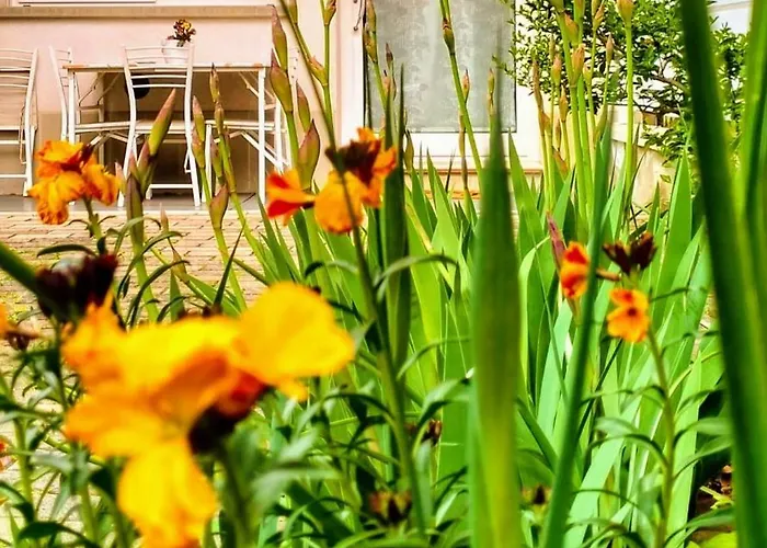 Apartament Bhh Appartamento Signorini Bologna -Wwwbolognaholidayhomecom- Holiday House Signorini Bologna Garden Parking - Parcheggio Riservato E Giardino Privato - *